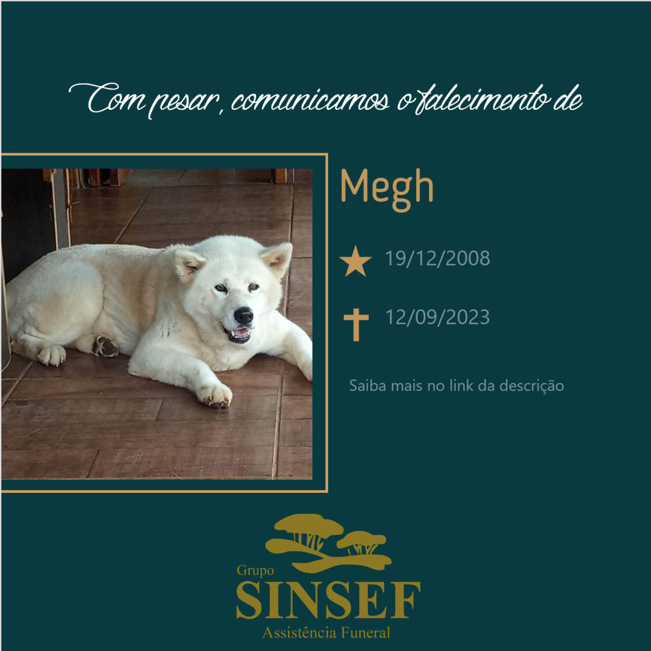 O Grupo Sinsef se despede de Megh