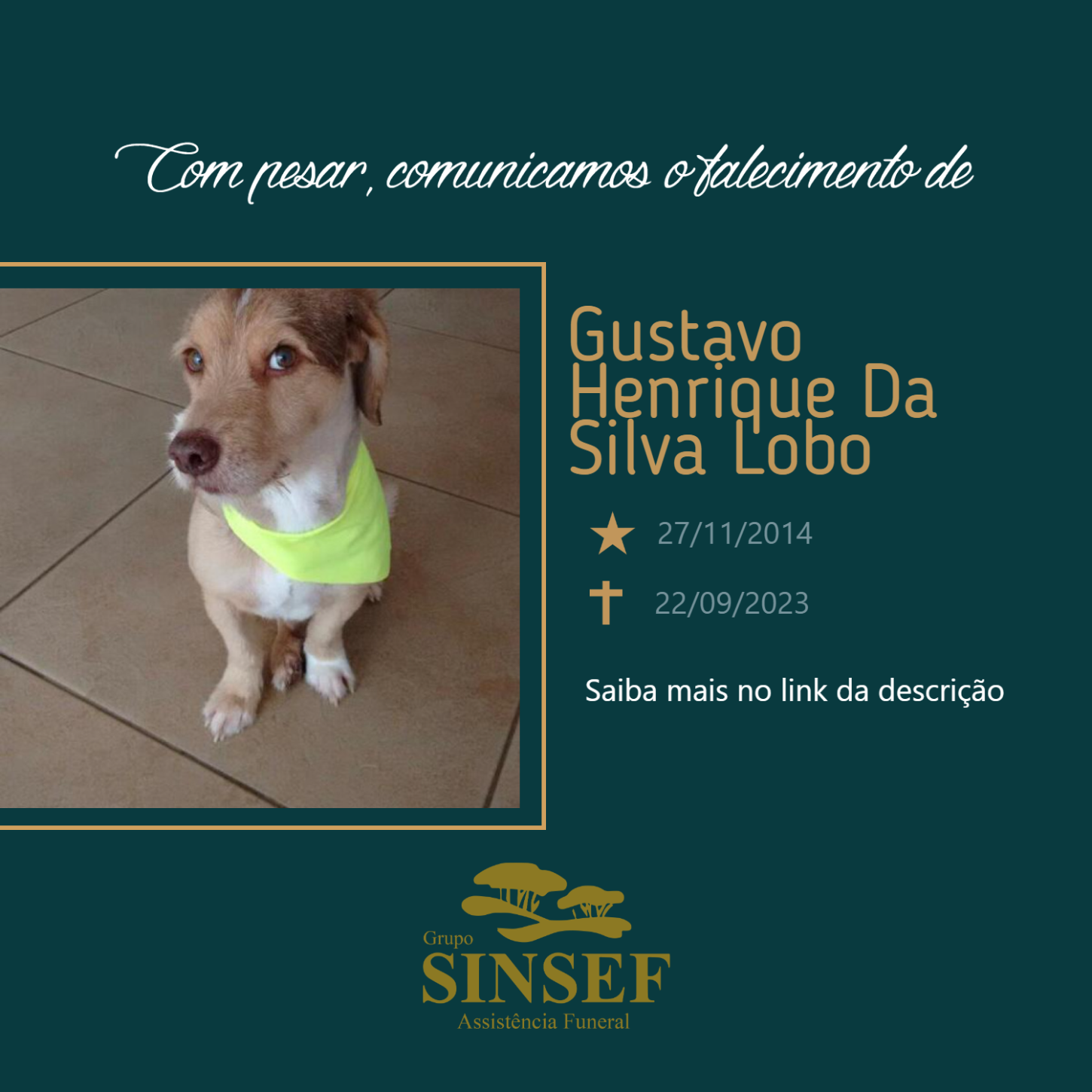 O Grupo Sinsef se despede do Pet Gustavo Henrique