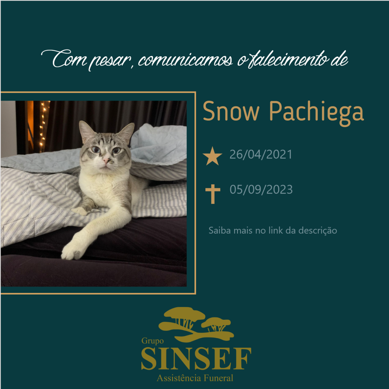 O Grupo Sinsef se despede Snow Pachiega