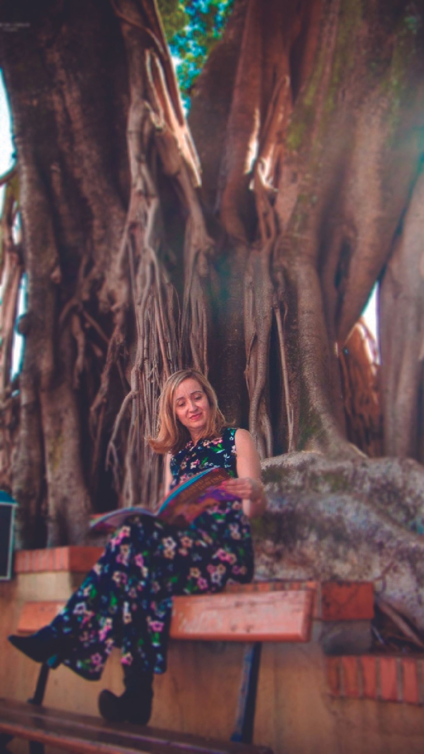 Projeto cultural entrega bibliotecas de cordel para escolas públicas baianas