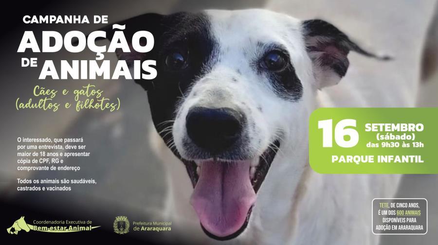 Sábado (16) - Adoção de animais em Araraquara: Venha Conhecer!