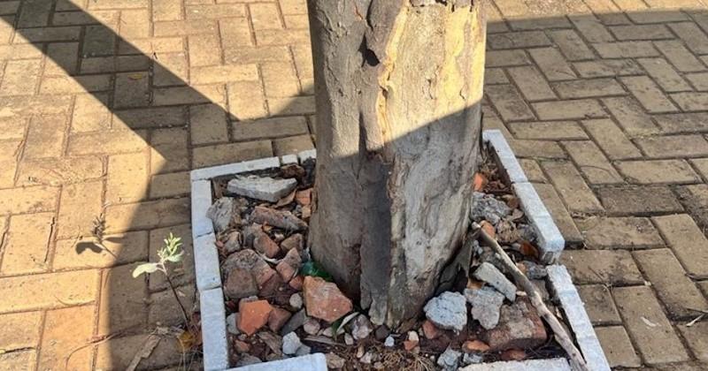 Serviços de zeladoria e trânsito são solicitados para diversos pontos da cidade