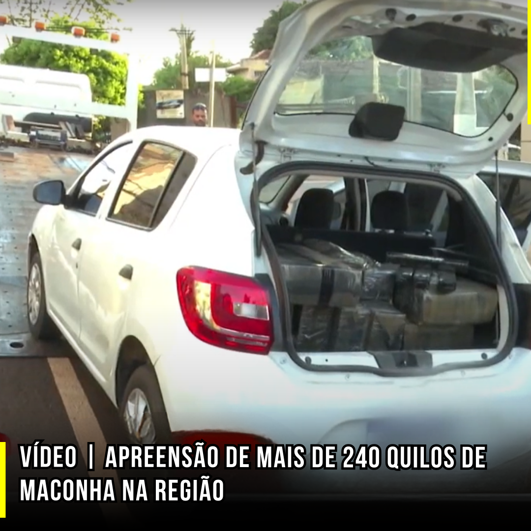 VÍDEO | Apreensão de Mais de 240 quilos de maconha na região