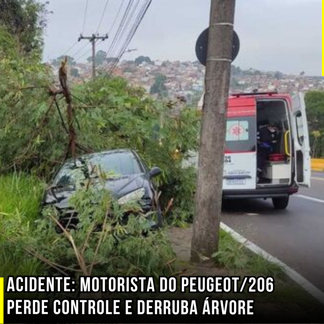 Acidente: Motorista do Peugeot/206 perde controle e derruba árvore