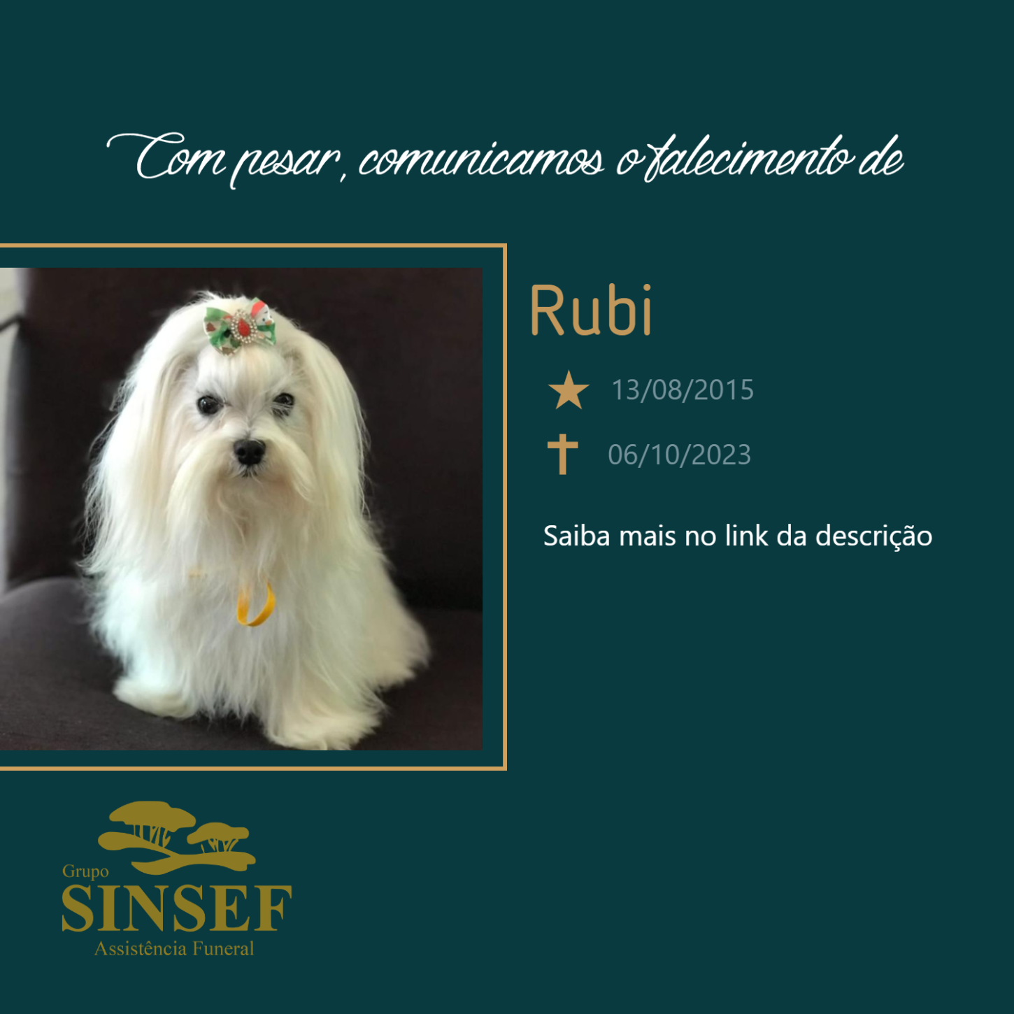 O Grupo Sinsef se despede da Pet Rubi