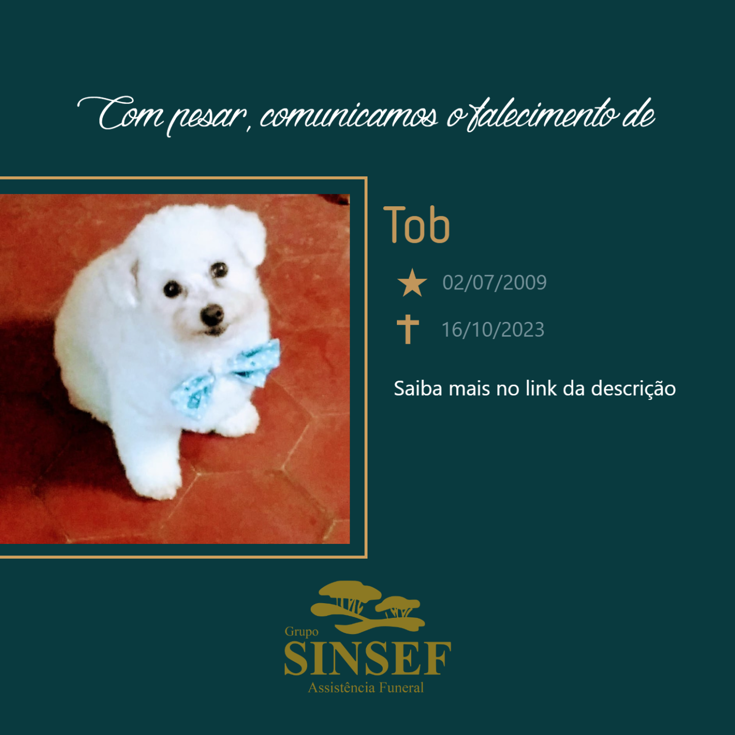 O Grupo Sinsef se despede do Pet Tob.