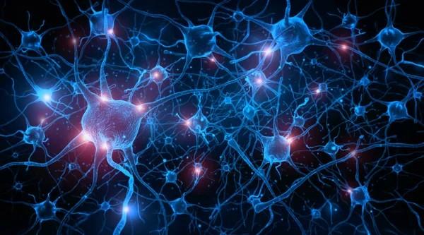 Vereador propõe a disponibilização do PrecivityAD2 que, a partir de uma amostra de sangue contribui para identificar a doença de Alzheimer em estágios iniciais