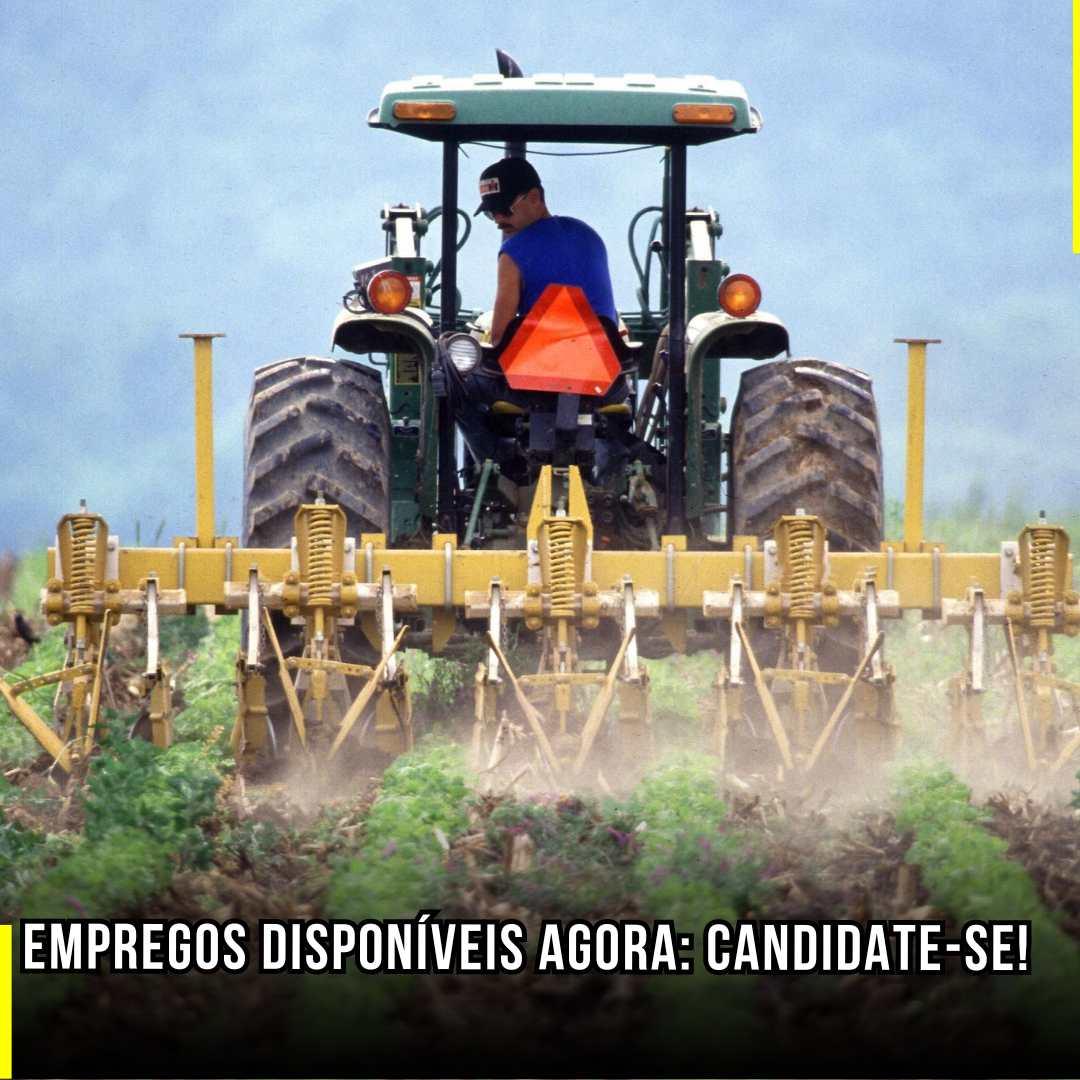 Empregos Disponíveis Agora: Candidate-se!