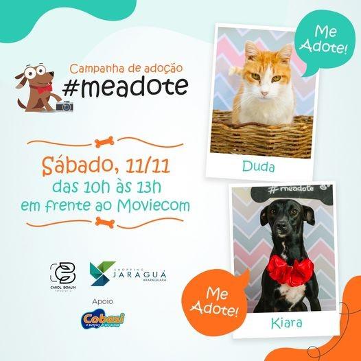 Sábado é dia de campanha de adoção de pets no Shopping Jaraguá