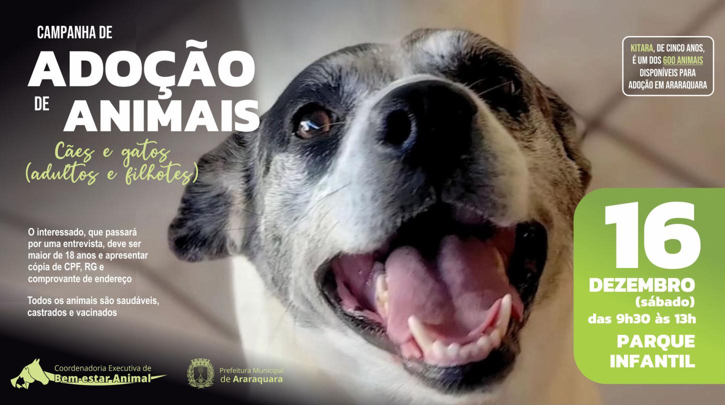 A Chance de Adotar um Pet: Sábado no Parque