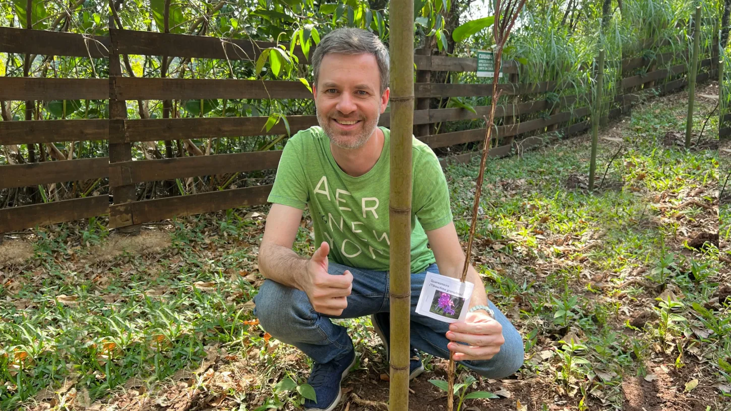 Dia da árvore: ação no Parque do Basalto destaca importância das árvores para o meio ambiente