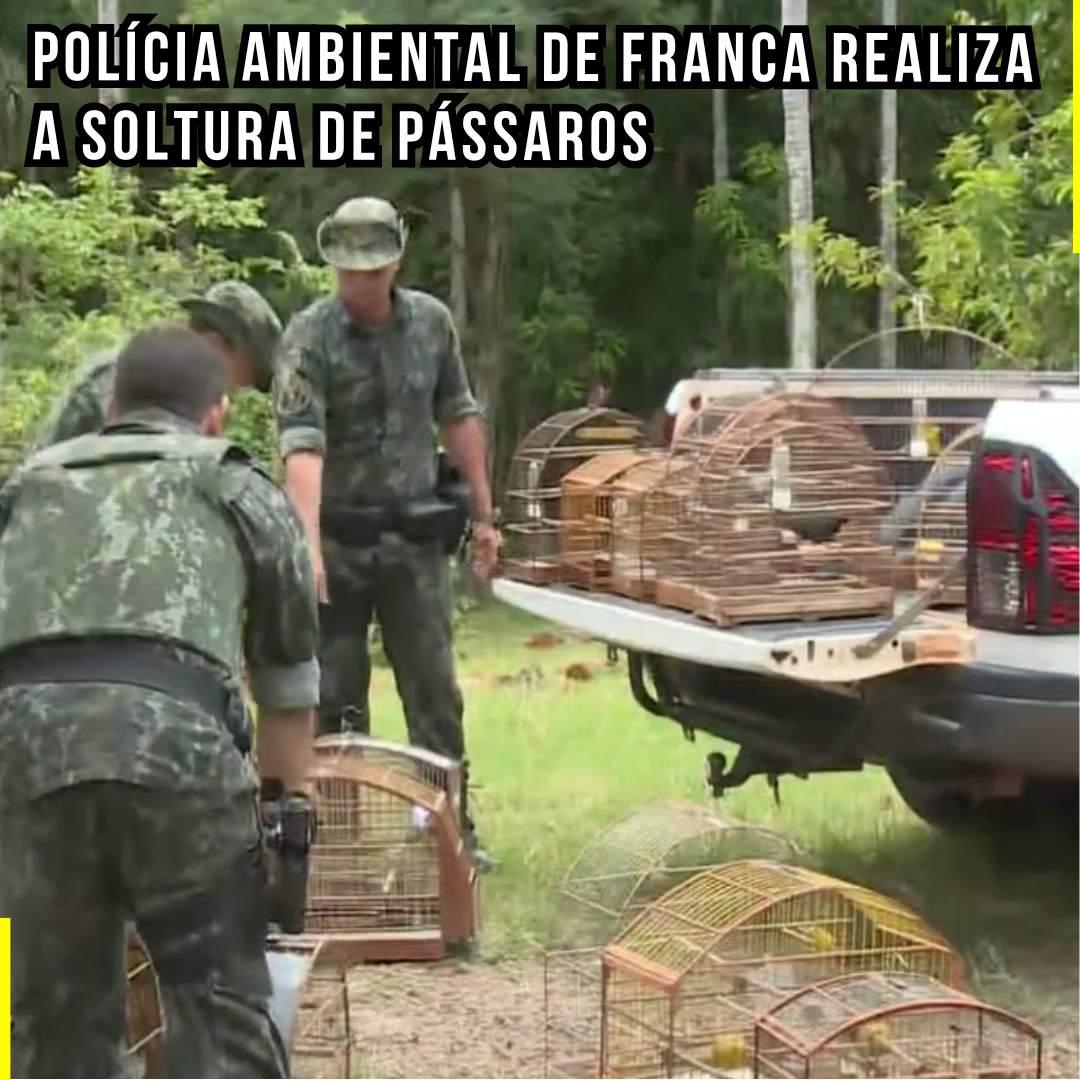 Polícia Ambiental de Franca realiza a soltura de pássaros
