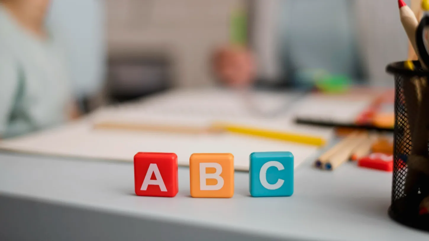 Vereador Rafael de Angeli questiona falta de divulgação de lista de excedentes da Educação Infantil