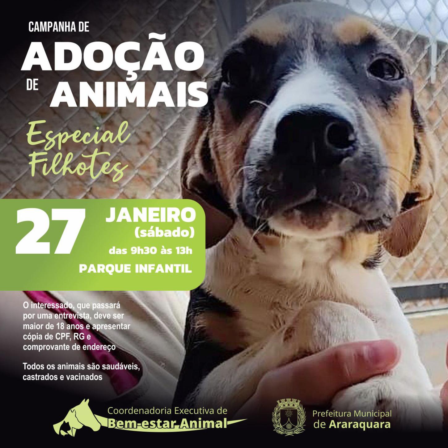 Feira Tô em Casa: Arte, Culinária e Diversão no Parque Infantil!