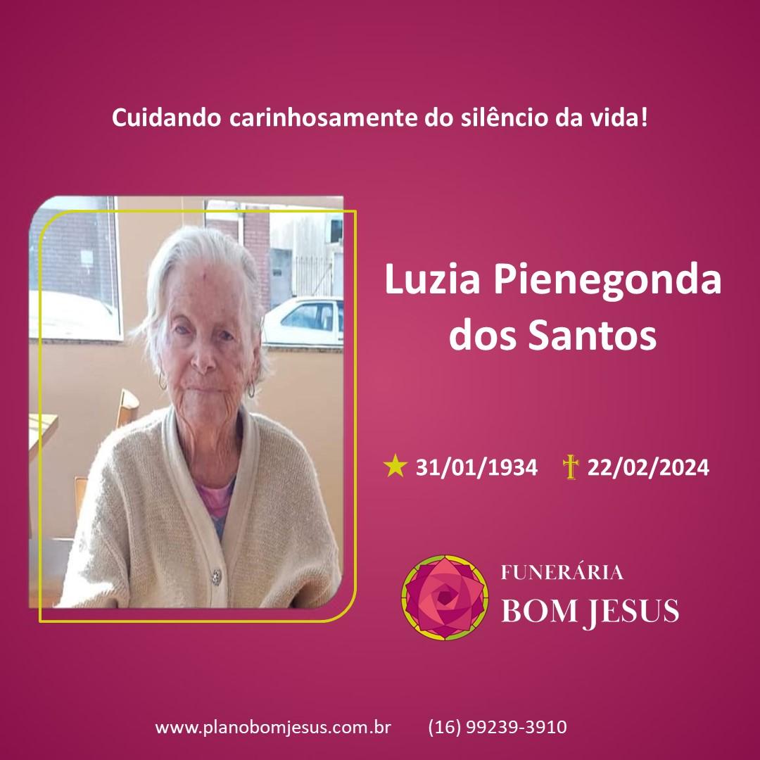 A Funerária Bom Jesus comunica o falecimento da Sra. LUZIA PIENEGONDA DOS SANTOS