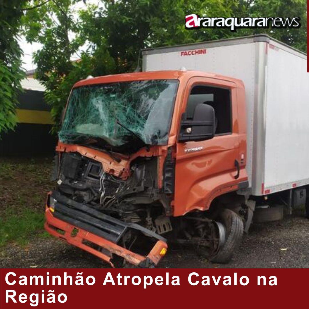 Motorista Ferido: Caminhão Atropela Cavalo na Região
