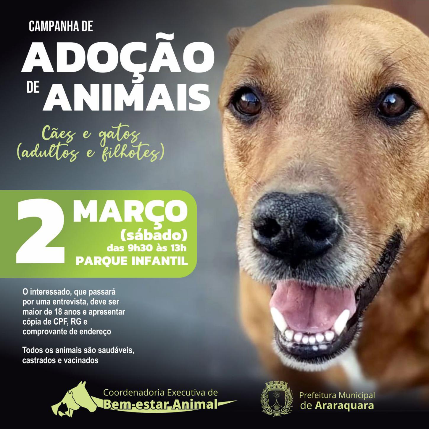 Sábado: Adote um Pet no Parque Infantil de Araraquara!