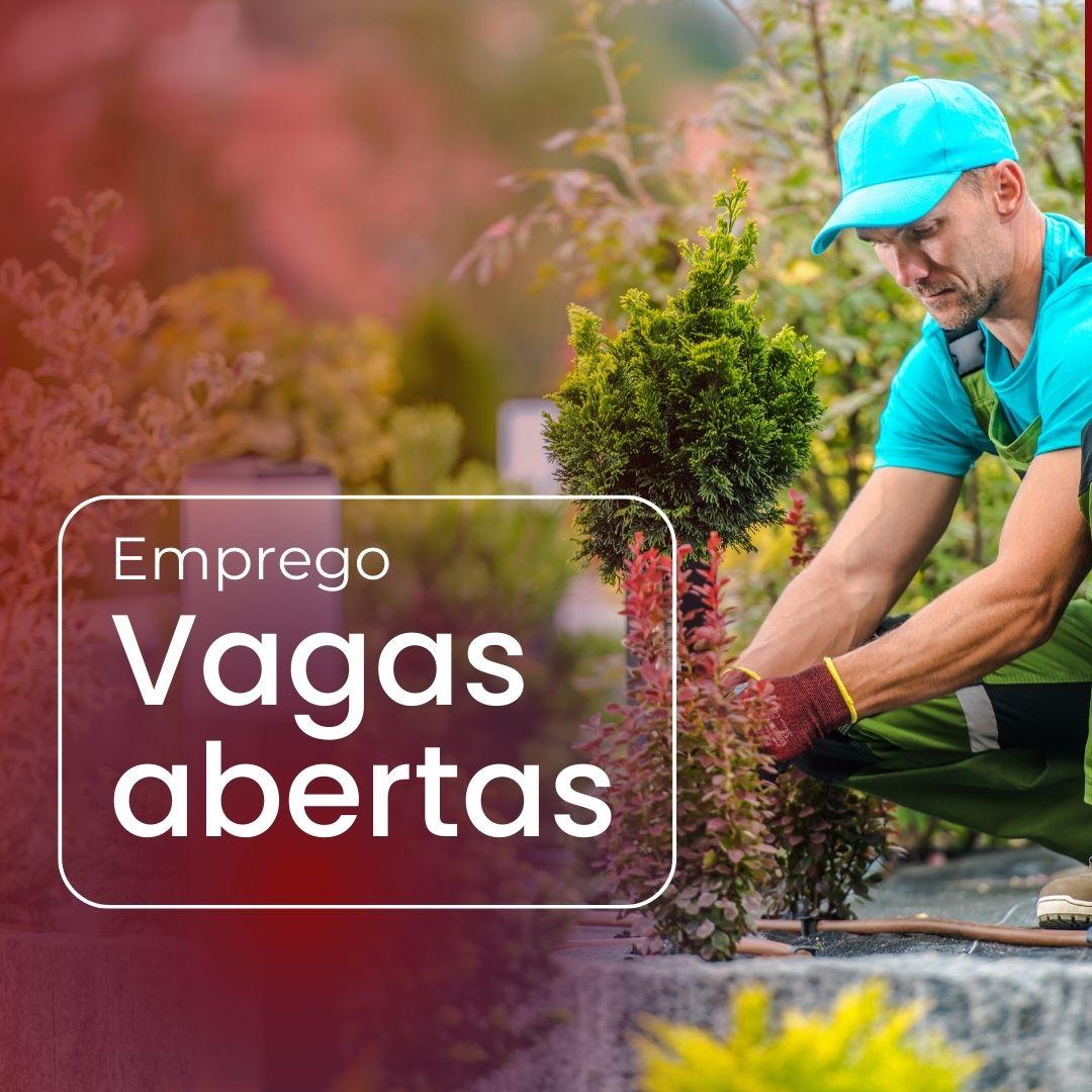 Empregos em Destaque: Aproveite as Oportunidades em Araraquara!
