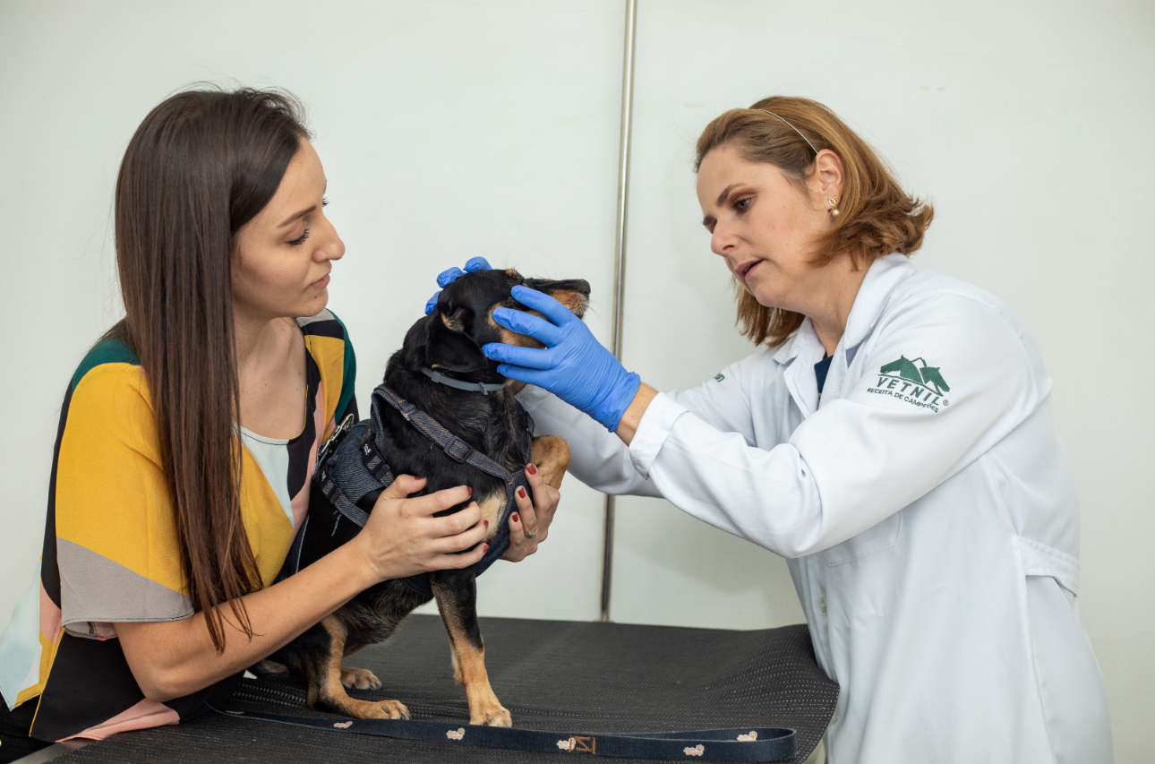 Saúde oral dos pets: uma questão de amor e cuidado
