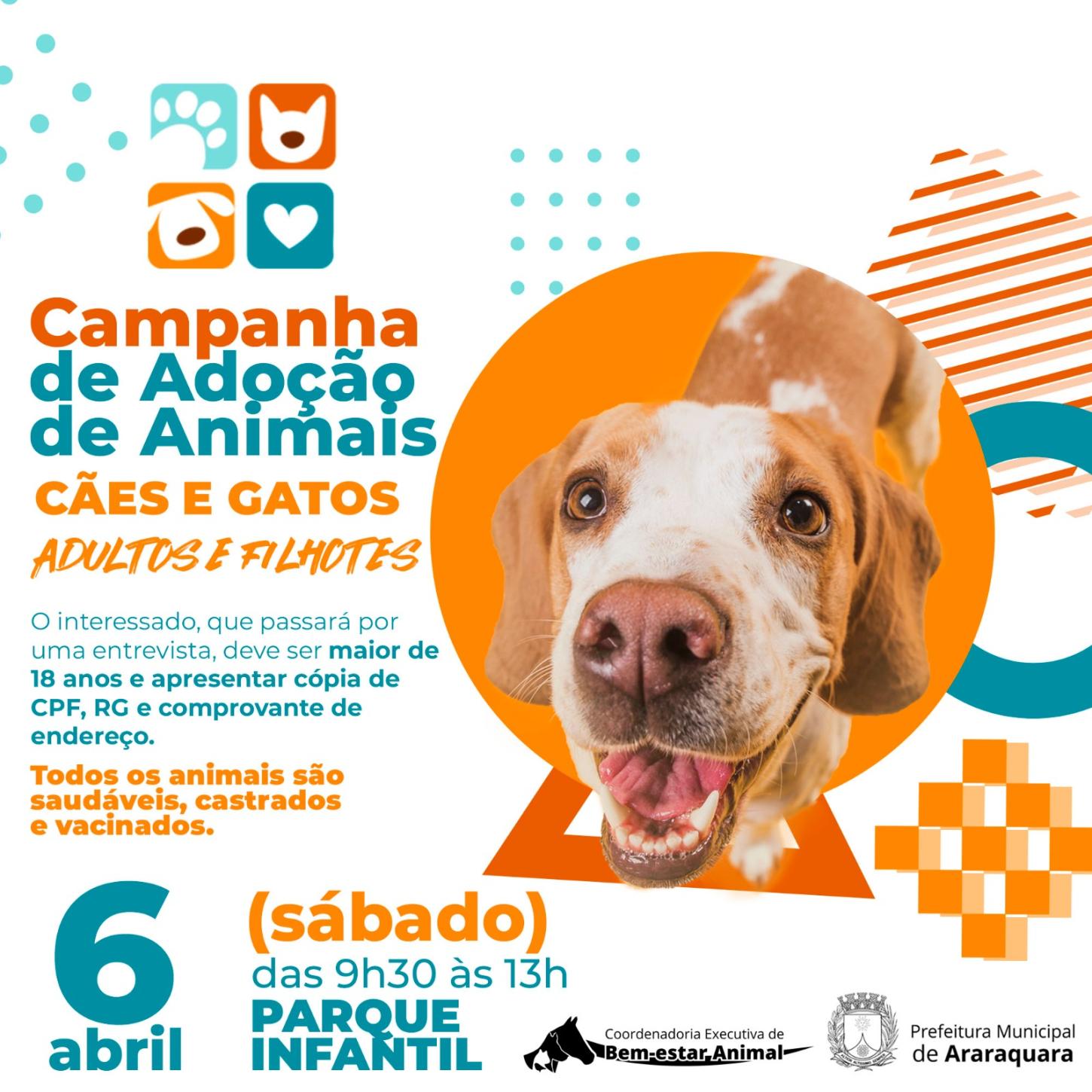 Adoção de Animais no Parque Infantil: Venha Encontrar seu Novo Amigo!