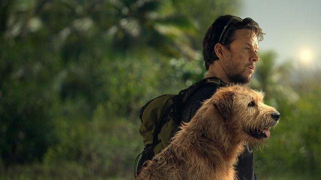 Terror e drama entram em cartaz na Moviecom nesta quinta-feira