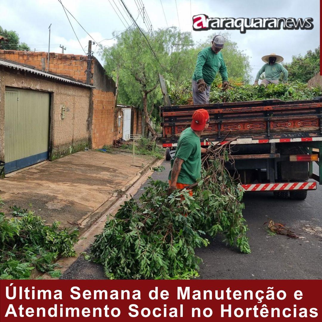 Última Semana de Intensa Manutenção e Atendimento Social nas Hortências