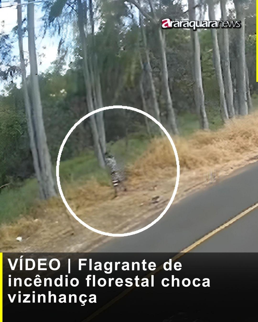 VÍDEO | Flagrante de incêndio florestal choca vizinhança