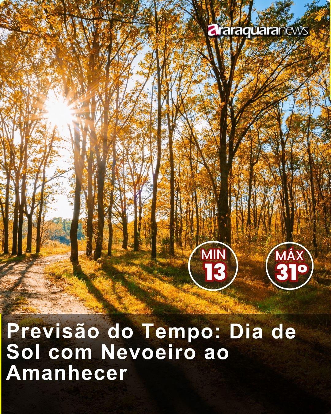 Previsão do Tempo: Dia de Sol com Nevoeiro ao Amanhecer