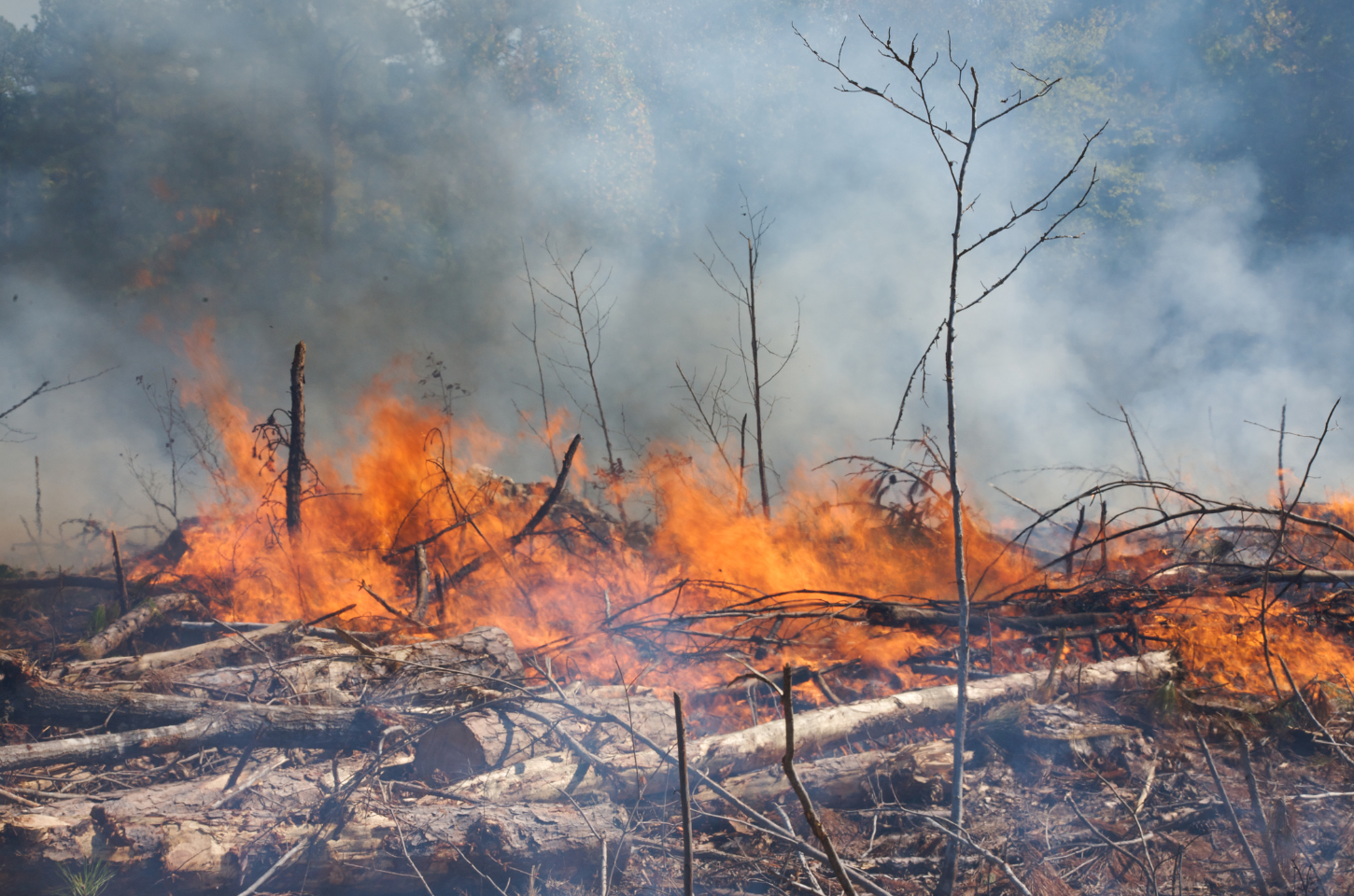 Incêndio Afeta Sistema de Água em Araraquara: Vários Bairros Sem Abastecimento