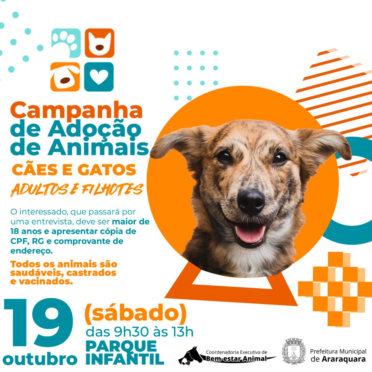 Adoção de Cães e Gatos Neste Sábado: Participe!