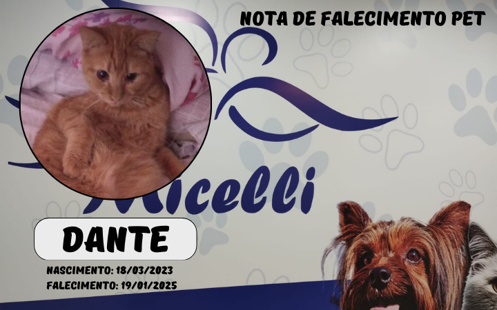 O GRUPO MICELLI COMUNICA O FALECIMENTO DO PET DANTE