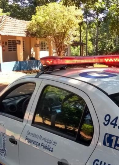 Policial