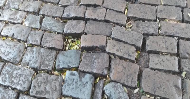 Ruas históricas de Araraquara necessitam de reparos em paralelepípedos, aponta vereador