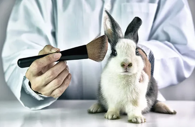 Brasil torna lei a proibição de testes em animais no desenvolvimento de cosméticos