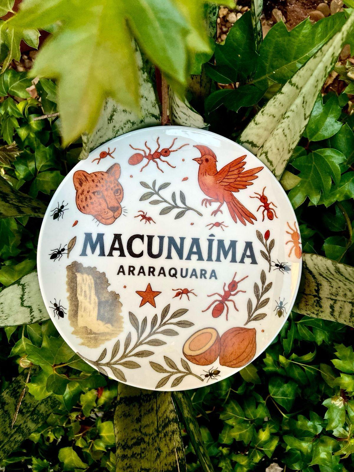 Coleção De Porcelanas Com Patrimônio De Araraquara É Exposta Na Unesp