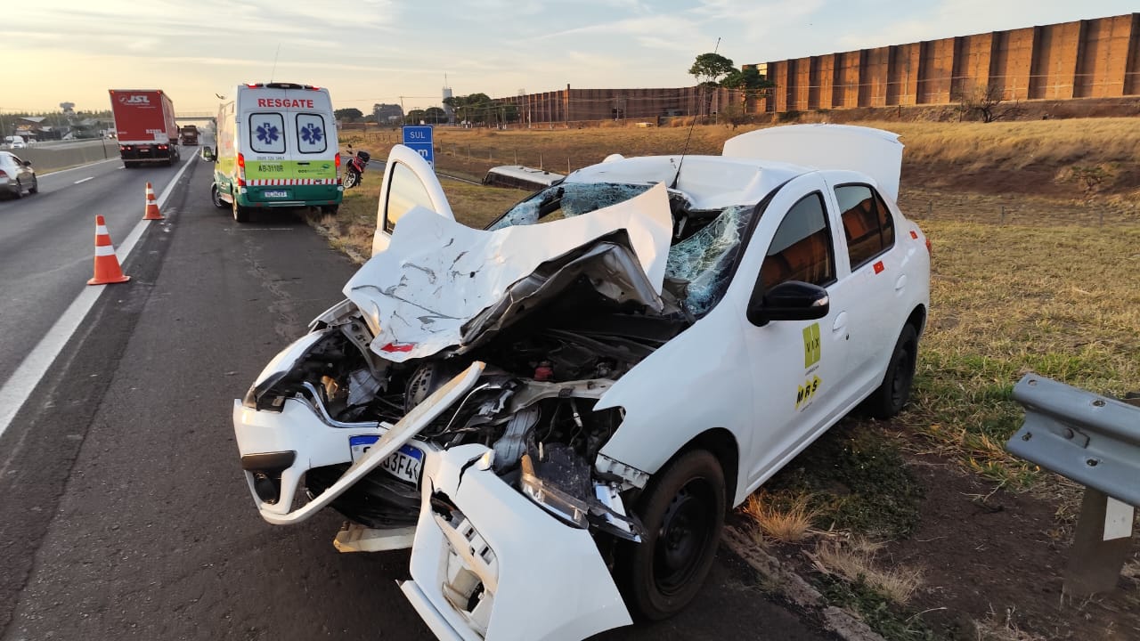Acidente inusitado envolve carro, caminhão e animal na rodovia