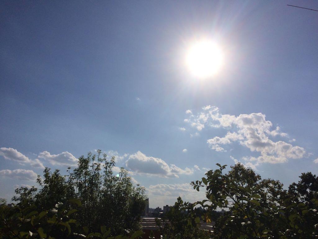 Terça-feira de 35°C: Calor Extremo e Sol em Araraquara!