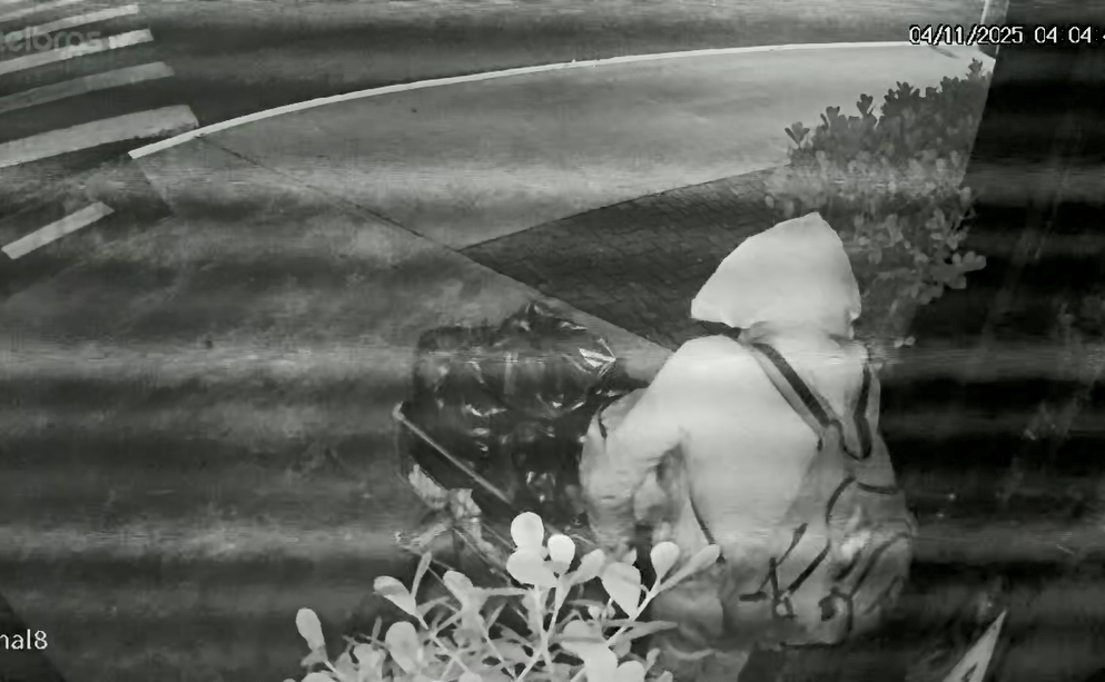 Ladrão de padaria é preso com carrinho de compras em Araraquara