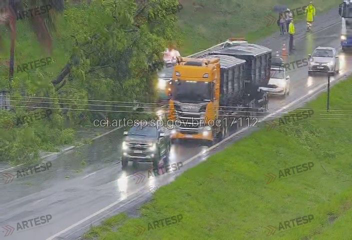 Queda de árvore bloqueia tráfego na SP-310