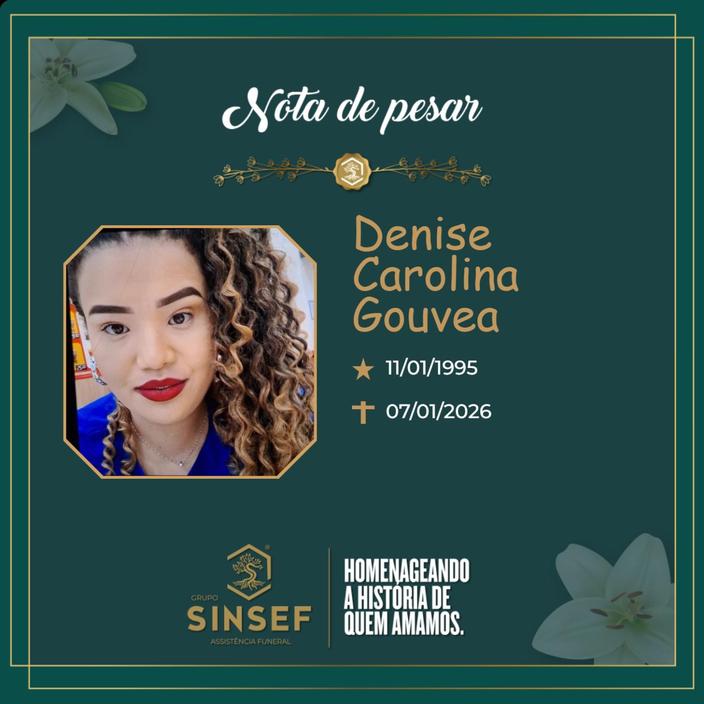 O Grupo Sinsef se despede da Sra. Denise Carolina Gouvea