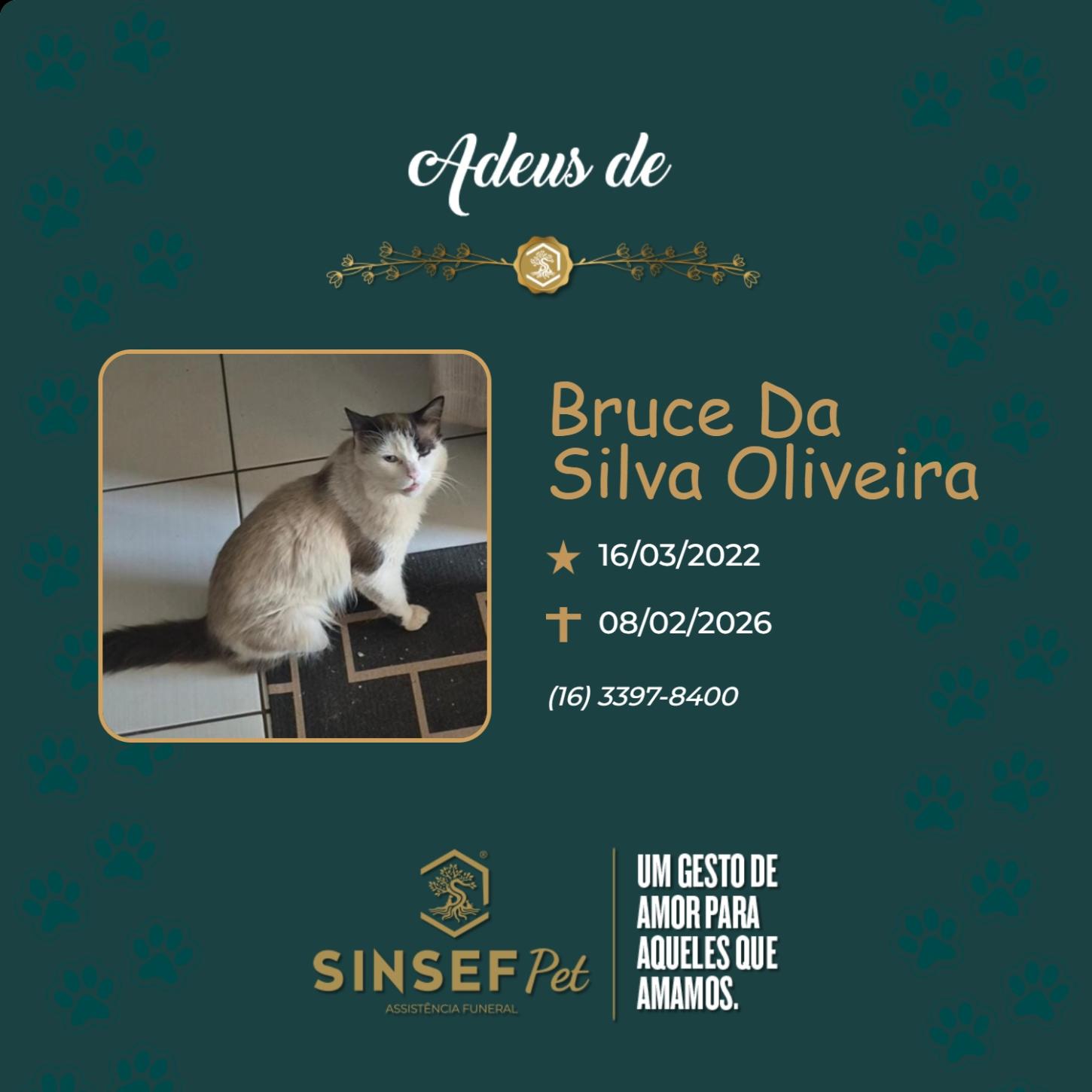 O Grupo Sinsef se despede de Bruce da Silva Oliveira