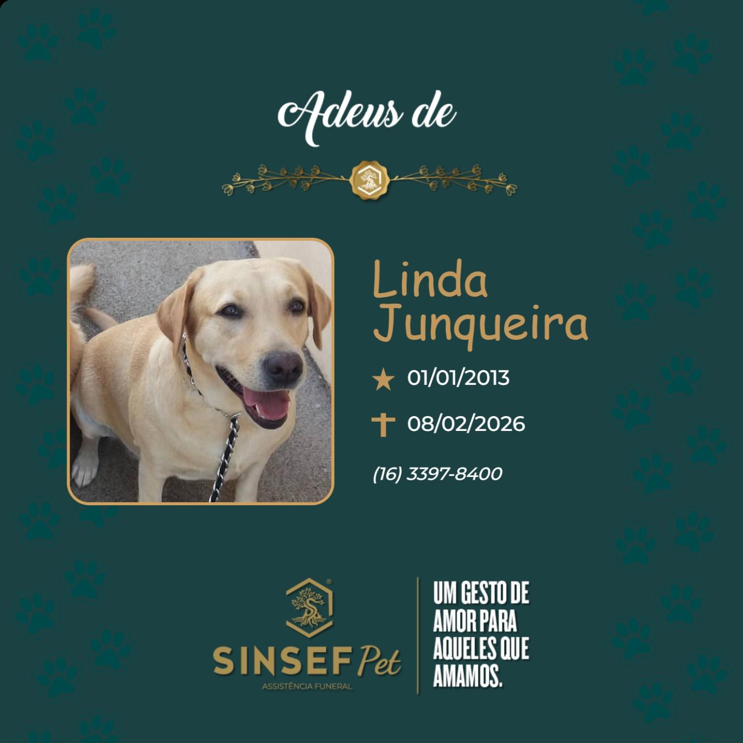 O Grupo Sinsef se despede de Linda Junqueira