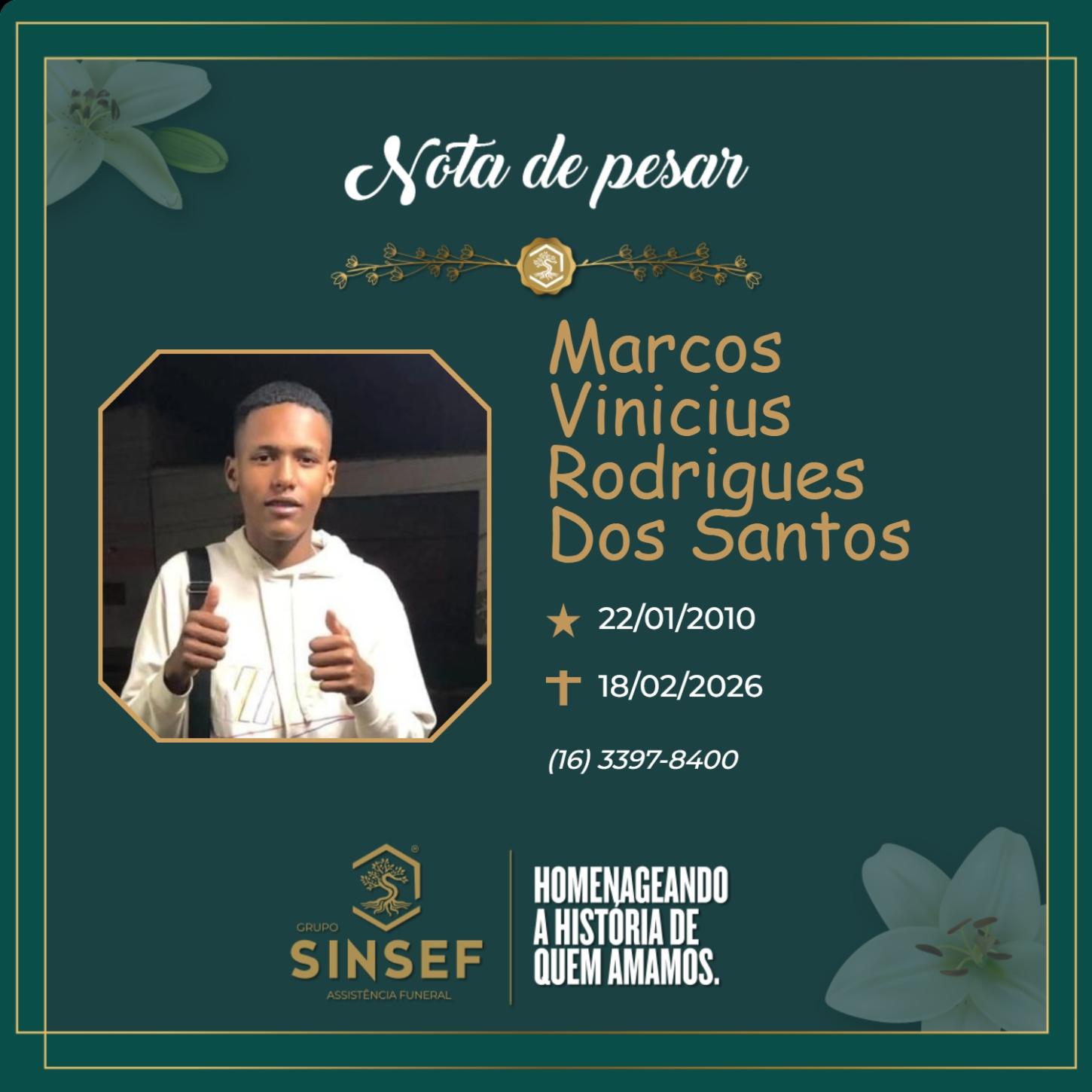 O Grupo Sinsef se despede do Marcos Vinícius Rodrigues dos Santos 