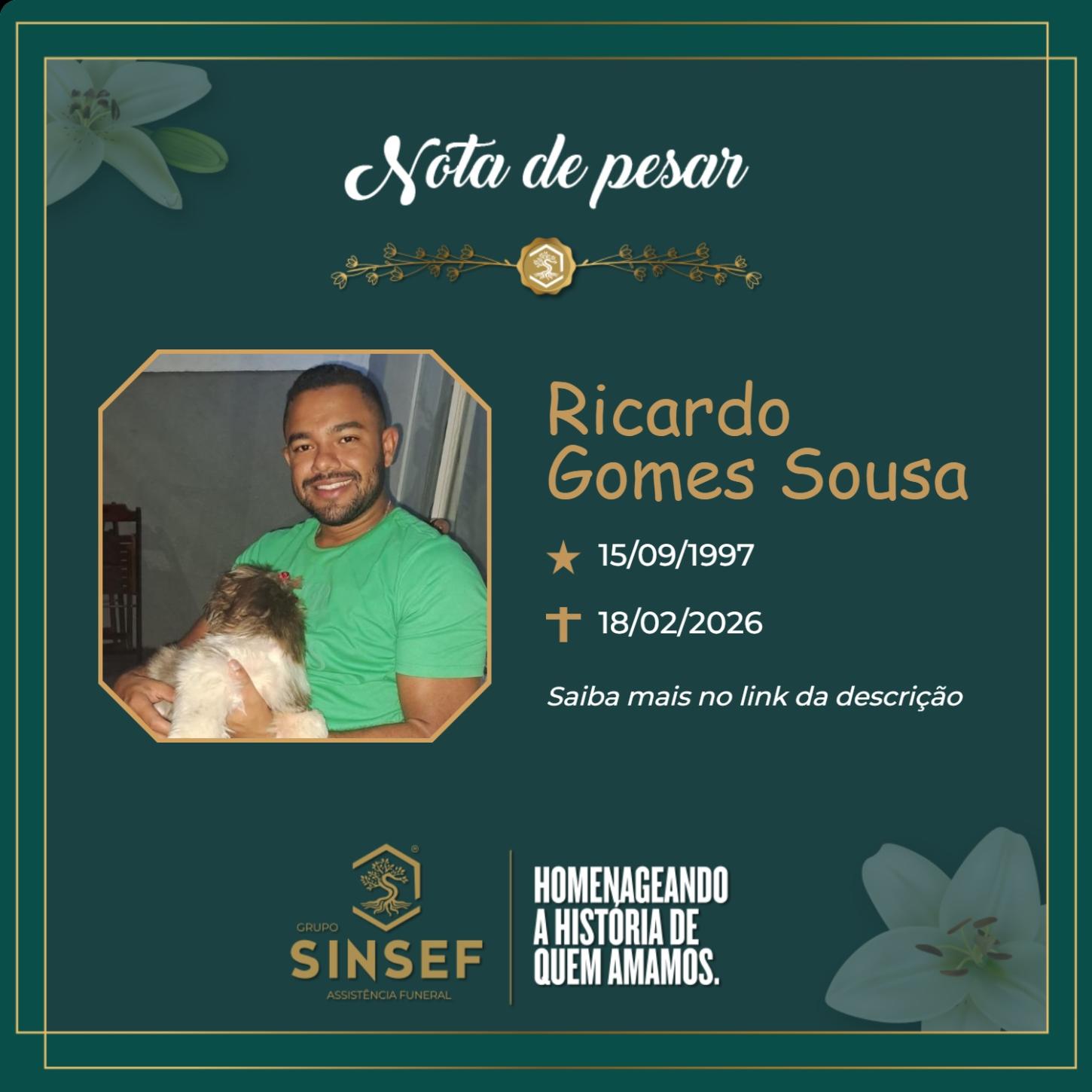 O Grupo Sinsef se despede do Sr. Ricardo Gomes Sousa