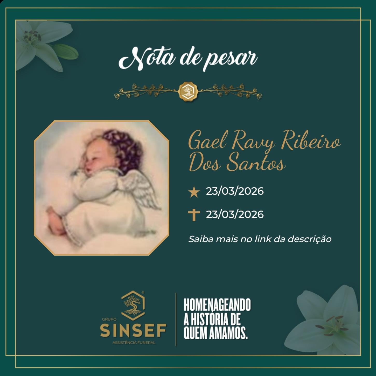 O Grupo Sinsef se despede de Gael Ravy Ribeiro dos Santos 