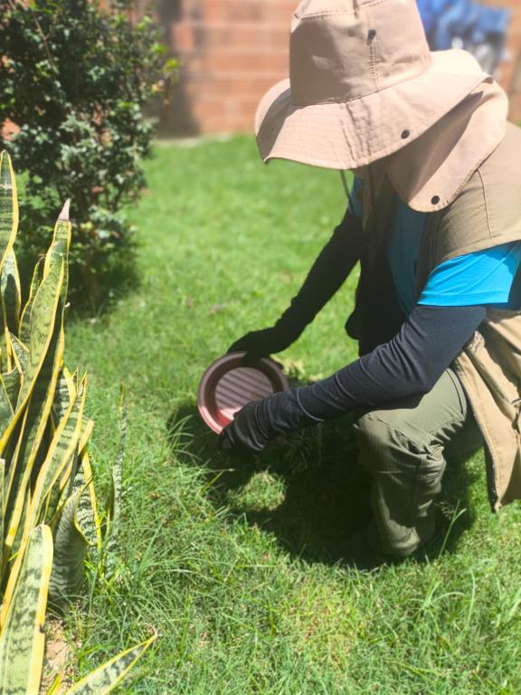 Araraquara: intensificadas ações de controle de vetores em vários bairros