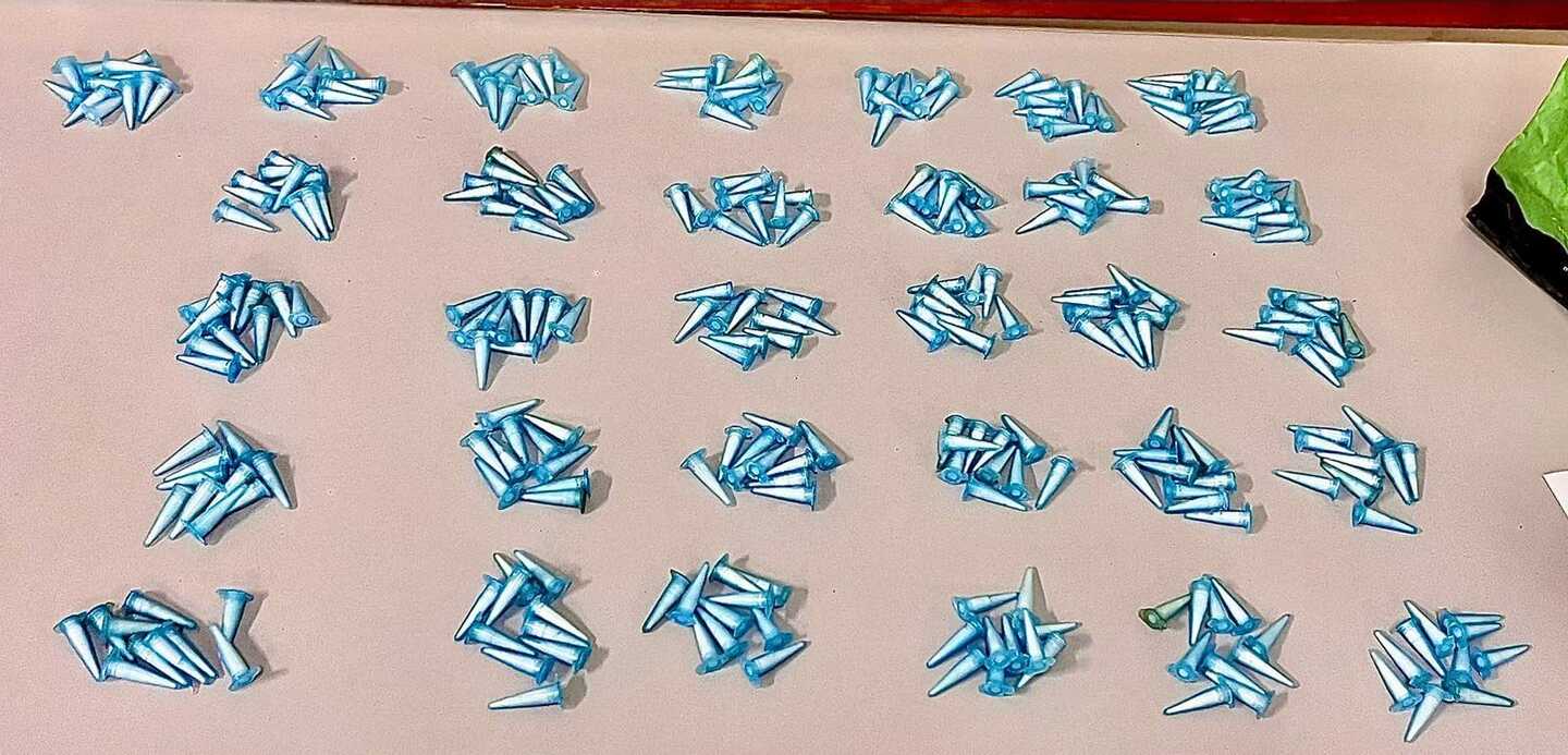 Dois homens são detidos com centenas de pinos de cocaína após tentativa de esconder drogas em Analândia