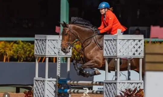 Hipismo: Emocionante despedida da égua MC Glória Thunder
