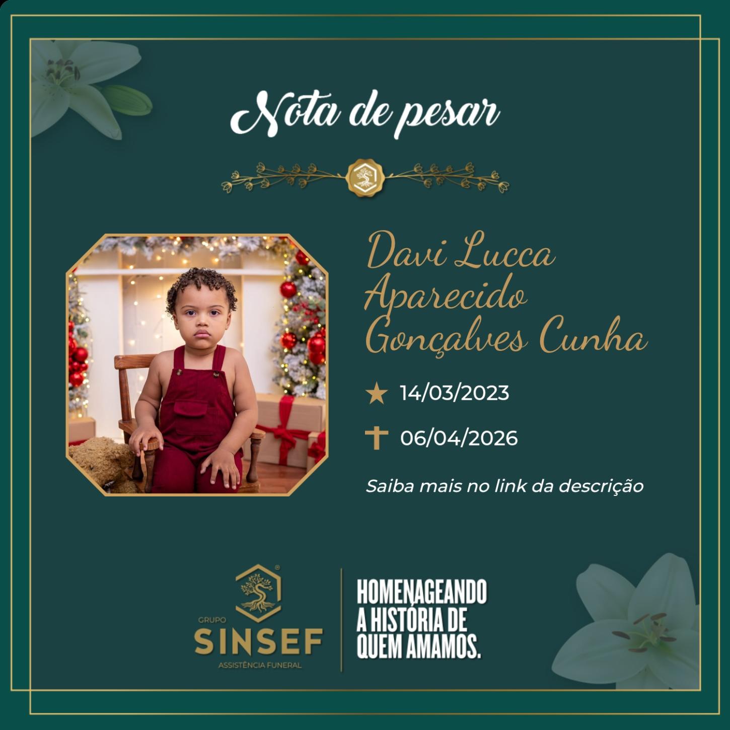 O Grupo Sinsef se despede de Davi Lucca Aparecido Gonçalves Cunha 