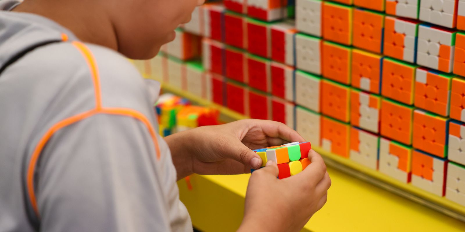 Primeira etapa do Censo Escolar da Educação Básica 2026 é iniciada